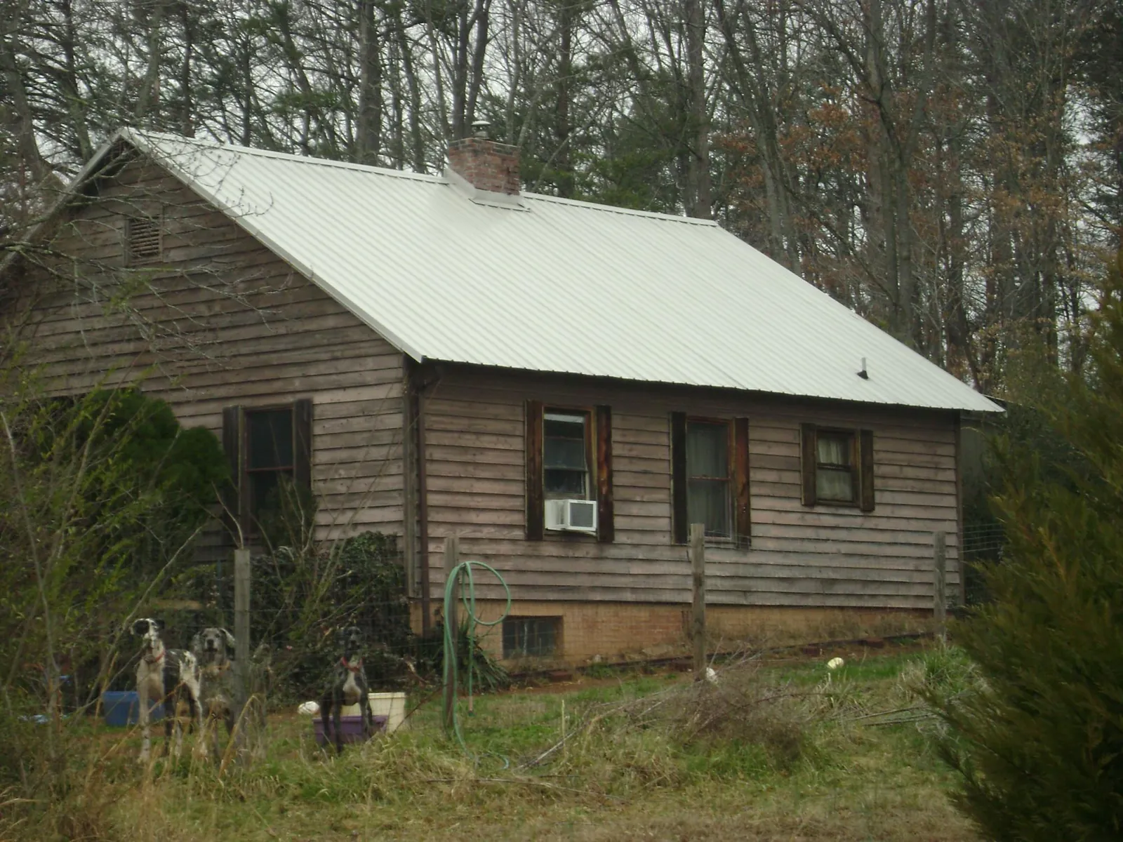 White metal roof on an old wood sided farmhouse, from a Metal Roof Installation job in Christmas